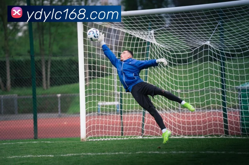 云顶娱乐城官网品牌故事